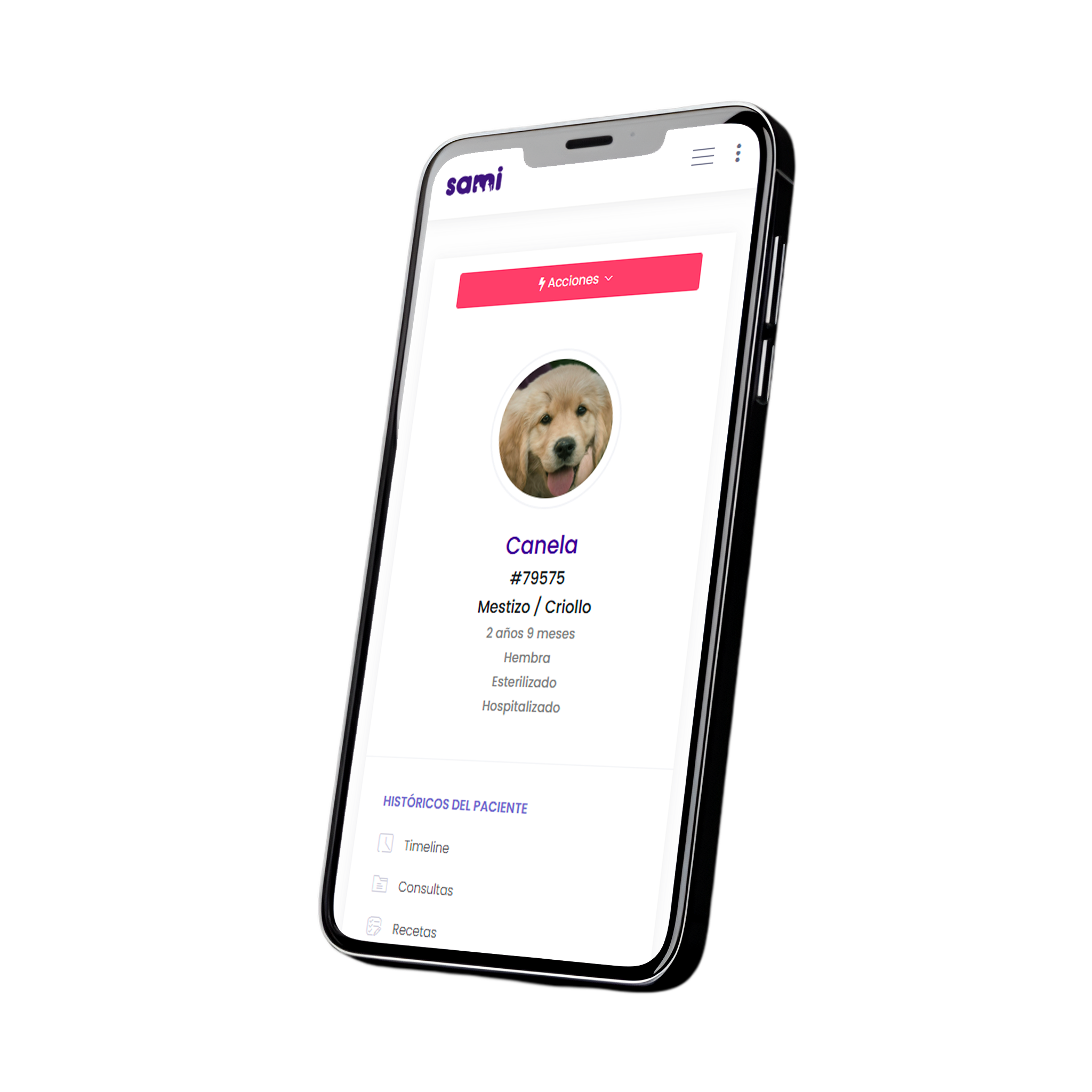 dashboard feature image